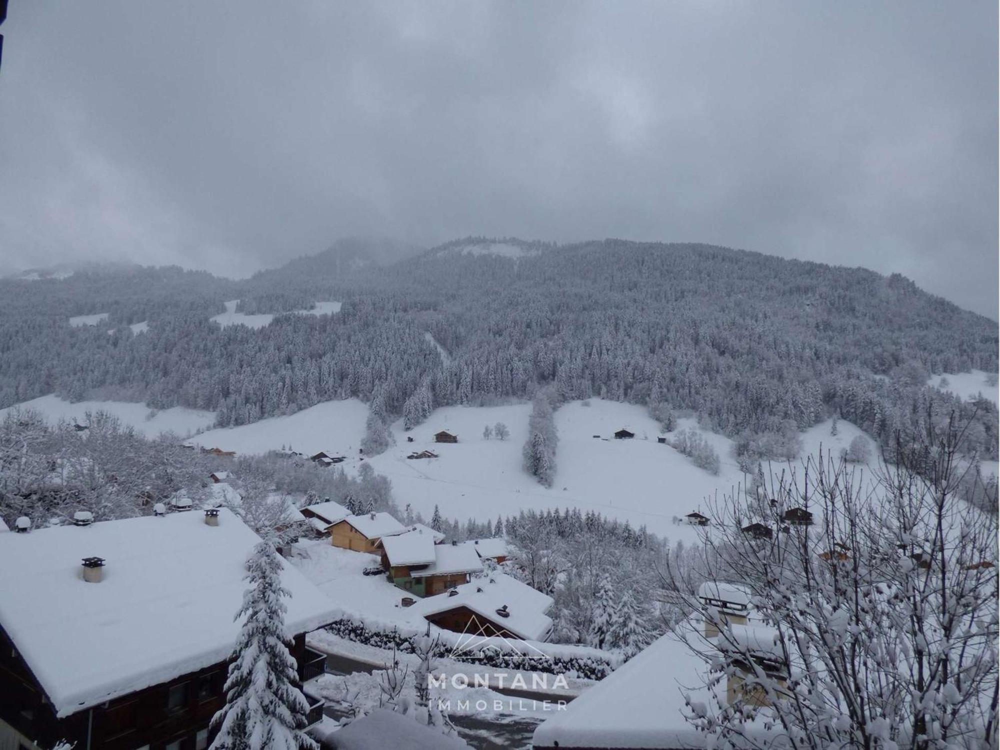 Studio Renove Avec Cabine - 26M² - 5 Pers - Balcon Expose Sud - Pres Skibus Et Remontees Mecaniques - Fr-1-458-125 Le Grand-Bornand Εξωτερικό φωτογραφία